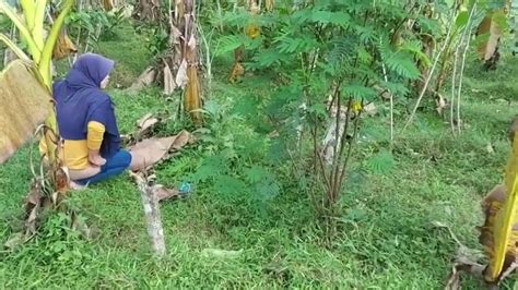 video ngintip cewek pipis